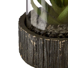 Load image into Gallery viewer, Succulent in Glass with Black Base