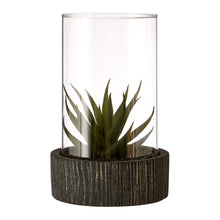 Load image into Gallery viewer, Succulent in Glass with Black Base