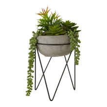 Load image into Gallery viewer, Mixed Succulent with Metal Planter in Grey