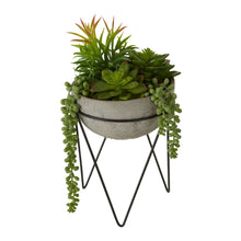 Load image into Gallery viewer, Mixed Succulent with Metal Planter in Grey