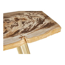 Load image into Gallery viewer, Dalia Petrified Wood Console Table in Natural
