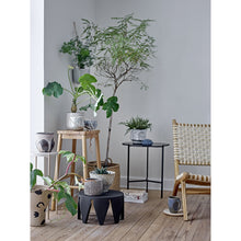 Load image into Gallery viewer, Keila Teak Occasional Chair in Rattan