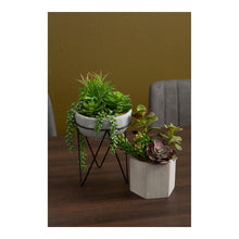 Load image into Gallery viewer, Mixed Succulent with Metal Planter in Grey