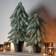 Load image into Gallery viewer, Adele Small Frosted Spruce Tree with Pot
