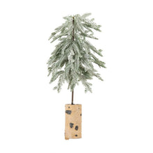 Load image into Gallery viewer, Issy Large Frosted Pine Tree with Birch Log Base in Green
