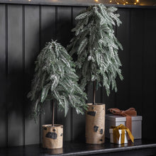 Load image into Gallery viewer, Issy Large Frosted Pine Tree with Birch Log Base in Green

