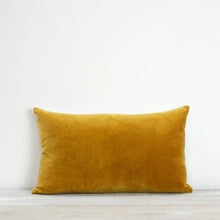 Load image into Gallery viewer, Misi Velvet Cushion in Yellow
