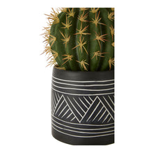 Load image into Gallery viewer, Cactus Succulent in Black and White Pot
