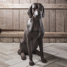 Load image into Gallery viewer, Gallery Digby Dog-GalleryDirect-Olivia's
