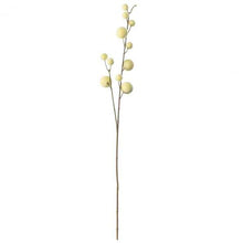 Load image into Gallery viewer, Chrishell Set of 6 Pom Pom Spray in Ivory
