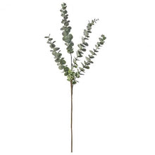 Load image into Gallery viewer, Eucalyptus Spray in Grey Set of Six
