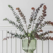 Load image into Gallery viewer, Eucalyptus Spray in Grey Set of Six
