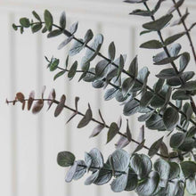 Load image into Gallery viewer, Eucalyptus Spray in Grey Set of Six
