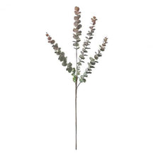 Load image into Gallery viewer, Eucalyptus Spray in Blush Set of Six

