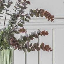 Load image into Gallery viewer, Eucalyptus Spray in Blush Set of Six
