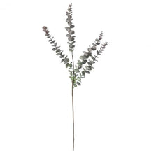 Load image into Gallery viewer, Eucalyptus Spray in Damson Set of Six

