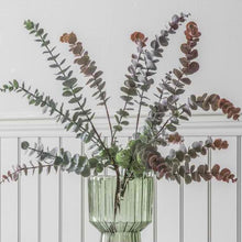 Load image into Gallery viewer, Eucalyptus Spray in Damson Set of Six
