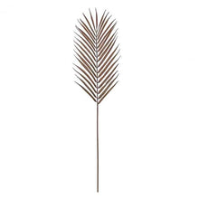 Load image into Gallery viewer, Palm Stems in Brown Set of Six

