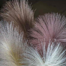 Load image into Gallery viewer, Goma Soft Feather Stem in Brown Set of Five
