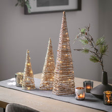 Load image into Gallery viewer, Farley Set of 3 Rattan Trees
