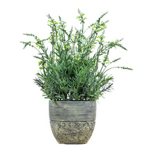 Load image into Gallery viewer, Cassia Potted Lavender Faux Plant in Cream
