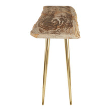 Load image into Gallery viewer, Dalia Petrified Wood Console Table in Natural
