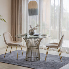 Load image into Gallery viewer, Abi Set of 2 Velvet Dining Chairs in Oatmeal
