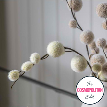 Load image into Gallery viewer, Chrishell Set of 6 Pom Pom Spray in Ivory
