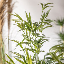Load image into Gallery viewer, Artificial Bamboo
