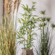 Load image into Gallery viewer, Artificial Bamboo
