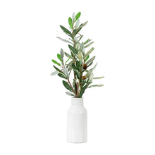 Load image into Gallery viewer, Artificial Olive Plant with White Vase
