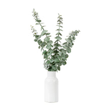 Load image into Gallery viewer, Artificial Eucalyptus Plant with White Vase
