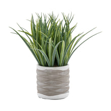Load image into Gallery viewer, Sammy-Faux Grass Planter in Cement
