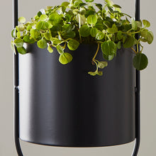 Load image into Gallery viewer, Lalita Large Hanging Plant Holder in Black
