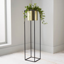 Load image into Gallery viewer, Aiya Tall Plant Stand in Gold
