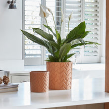 Load image into Gallery viewer, Ivyline Fairford Ochre Speckle Leaf Planter
