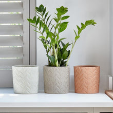 Load image into Gallery viewer, Ivyline Fairford Stone Speckle Leaf Planter
